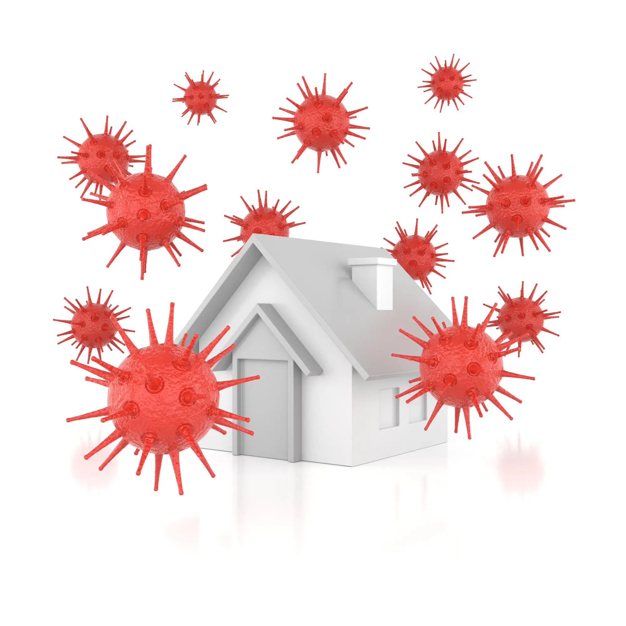 Homepage - servicii ddd firma dezinfectie coral